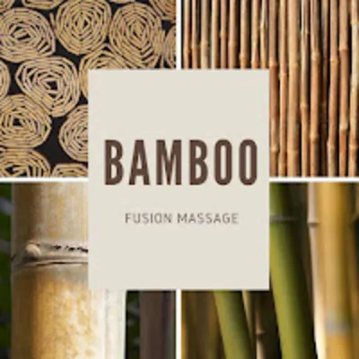 Bamboo Fusion Massage CE Illinois