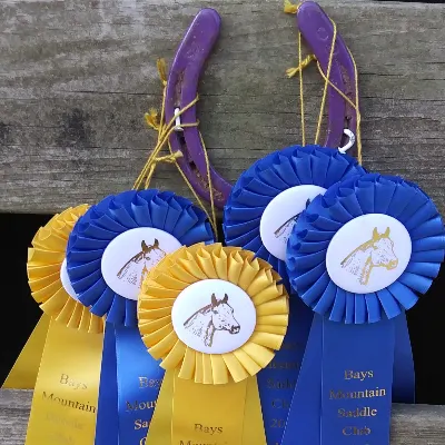 KO Stables