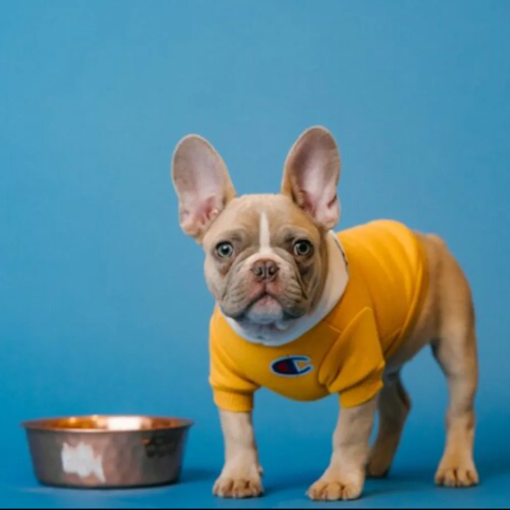 Puppy Love Playcare