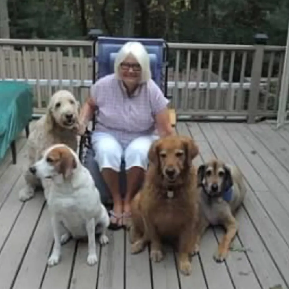 Aerobarks Dog Walking And Pet Sitting