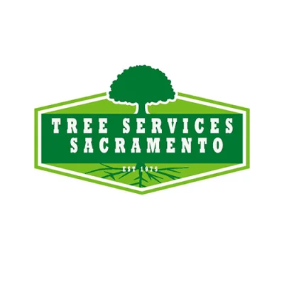 Tree Services Sacramento