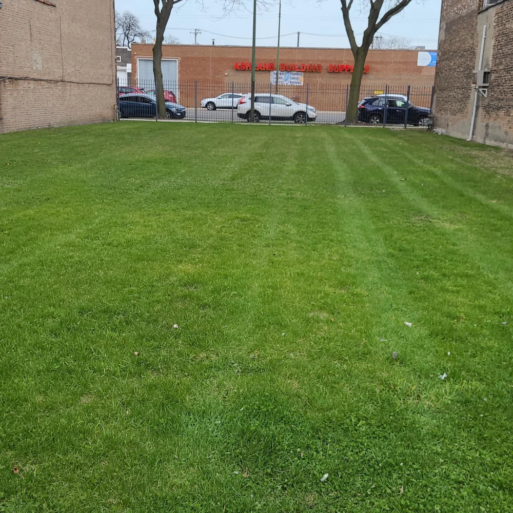 Bowen Landscaping