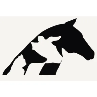 Veterinary Hospital Of Centreville