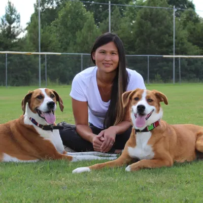 Tails Of Success Dog Training