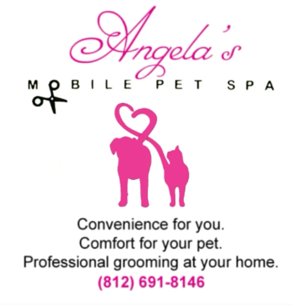 Scenthound: Dog Grooming Services and Routine Care for Dogs