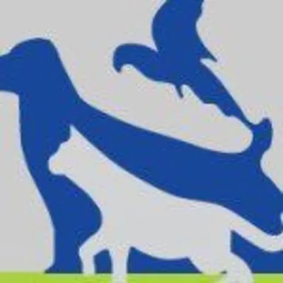 Sheridan Animal Hospital