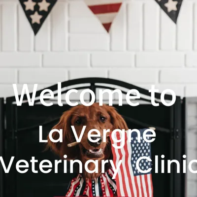 Lavergne Veterinary Clinic