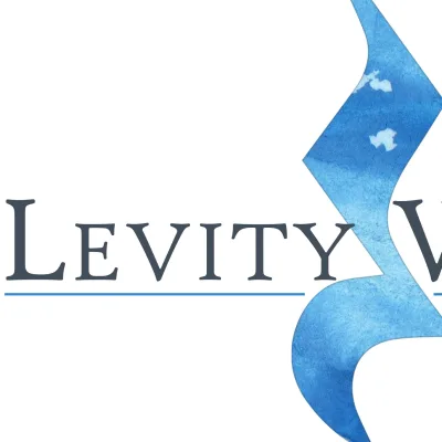 Levity Wellness Center