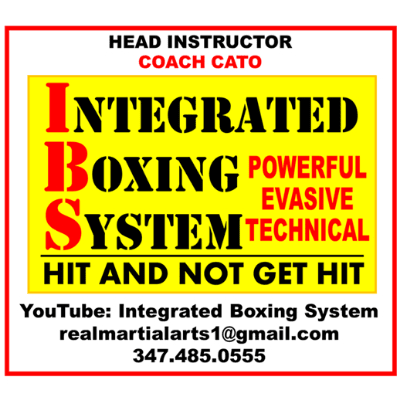 Integrated Boxing System (IBS)