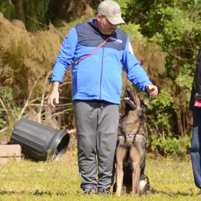 HarterHund German Shepherds