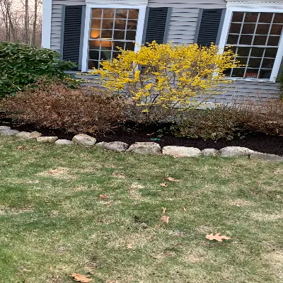 B And S Landscaping