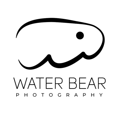Water Bear Photography