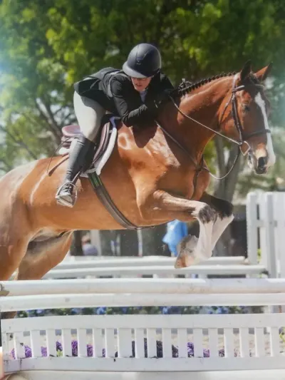 Five Star Equestrian