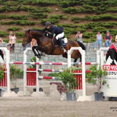 Hidden Oaks Show Jumpers