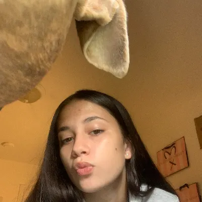 Ashley’s Dog Sitting