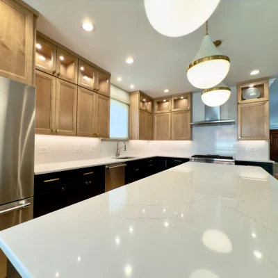 Chicago Home Revision
