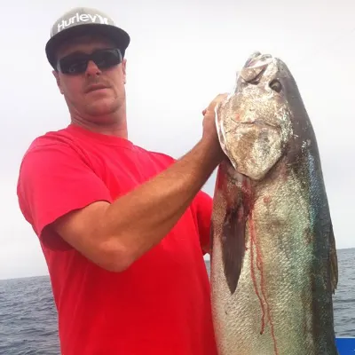 Four Reel Sportfishing