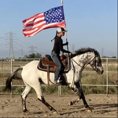 Lynette’s Natural Horsemanship Training