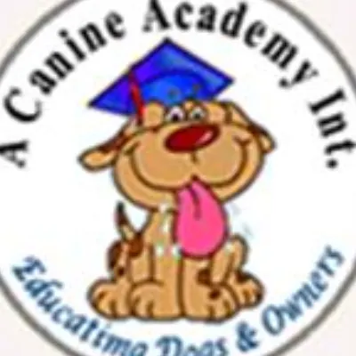 A Canine Academy/sky Harbor Dog Boarding