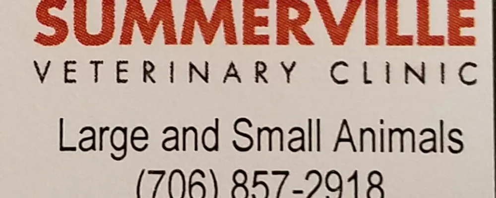 Summerville Veterinary Clinic