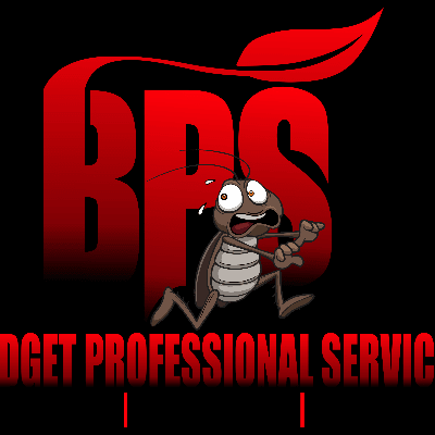 BPS Landscaping