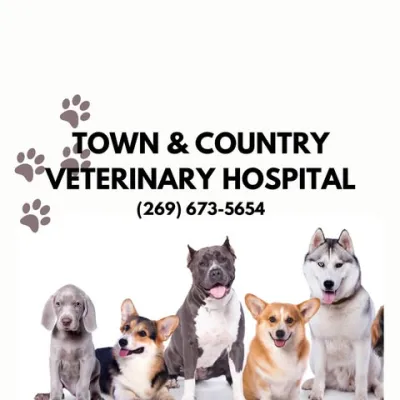 Town & Country Veterinary Hospital