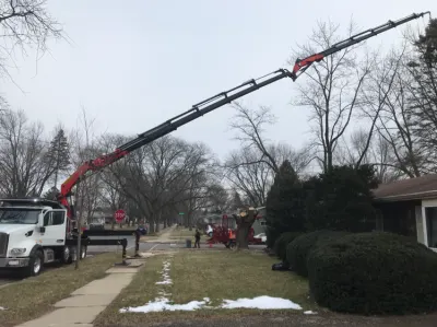 Treewerx