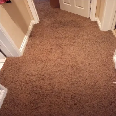 ENERGY CARPET CLEANING