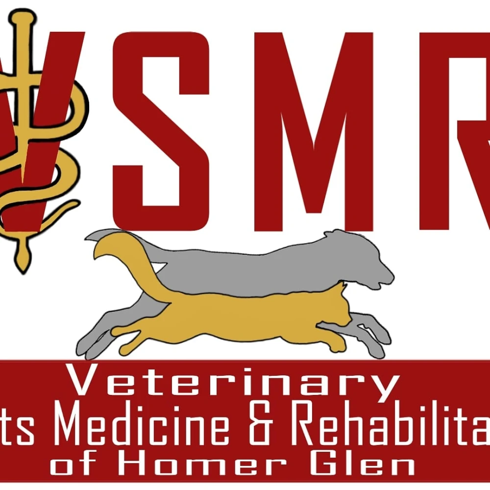Veterinary Sports Medicine & Rehabilitation Of Homer Glen