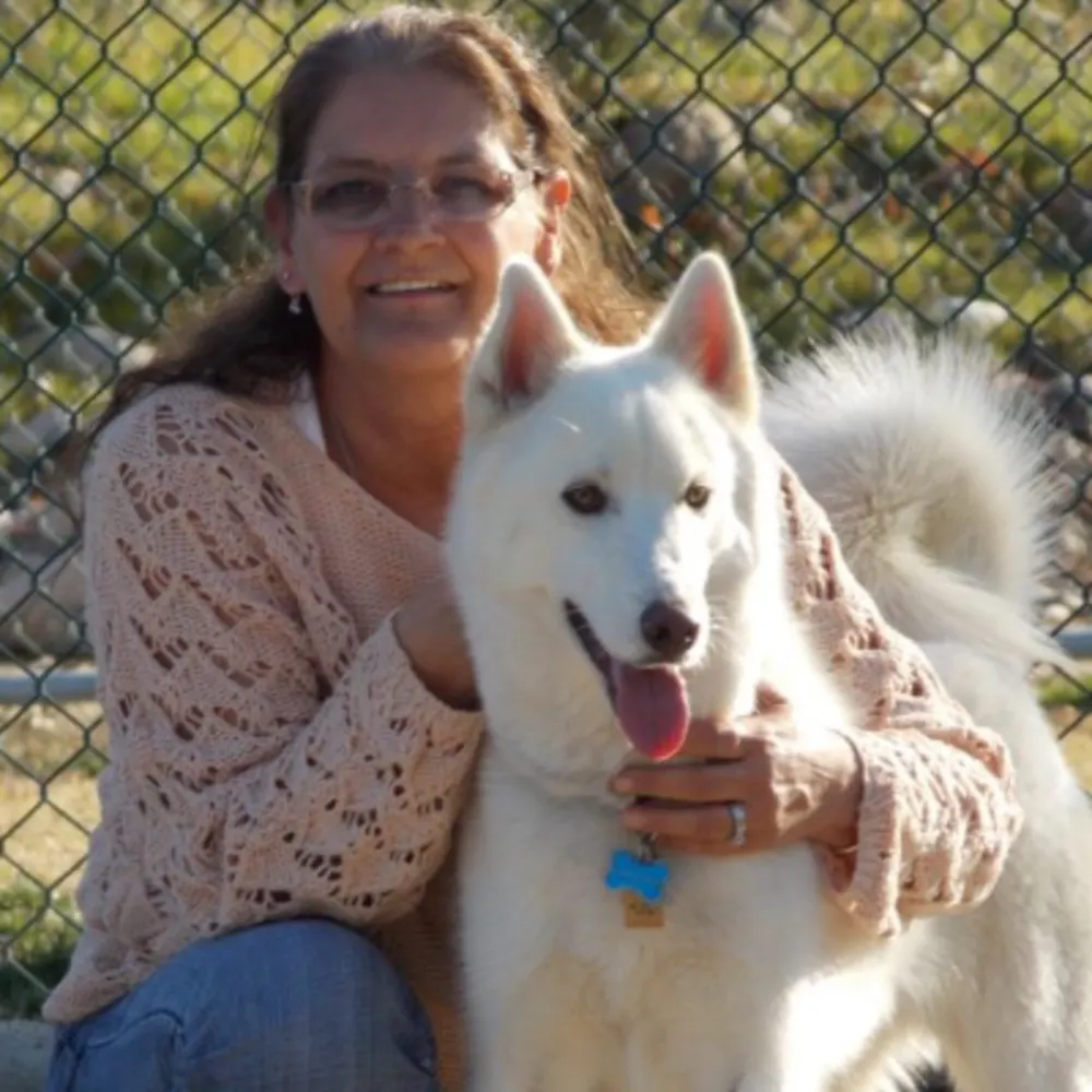 Dances With Dogs Training Center