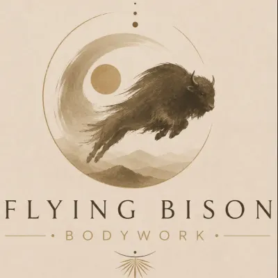 Flying Bison Bodywork
