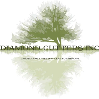 Diamond Cutters