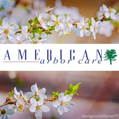 American Arbor Care