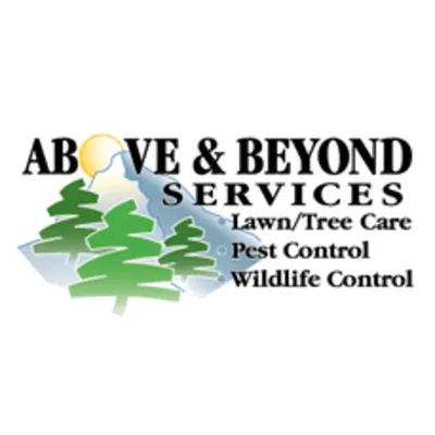 Above And Beyond Services LLC