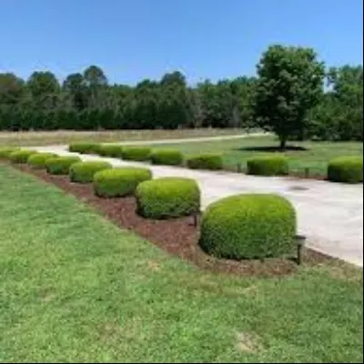 W And W Lawncare Llc