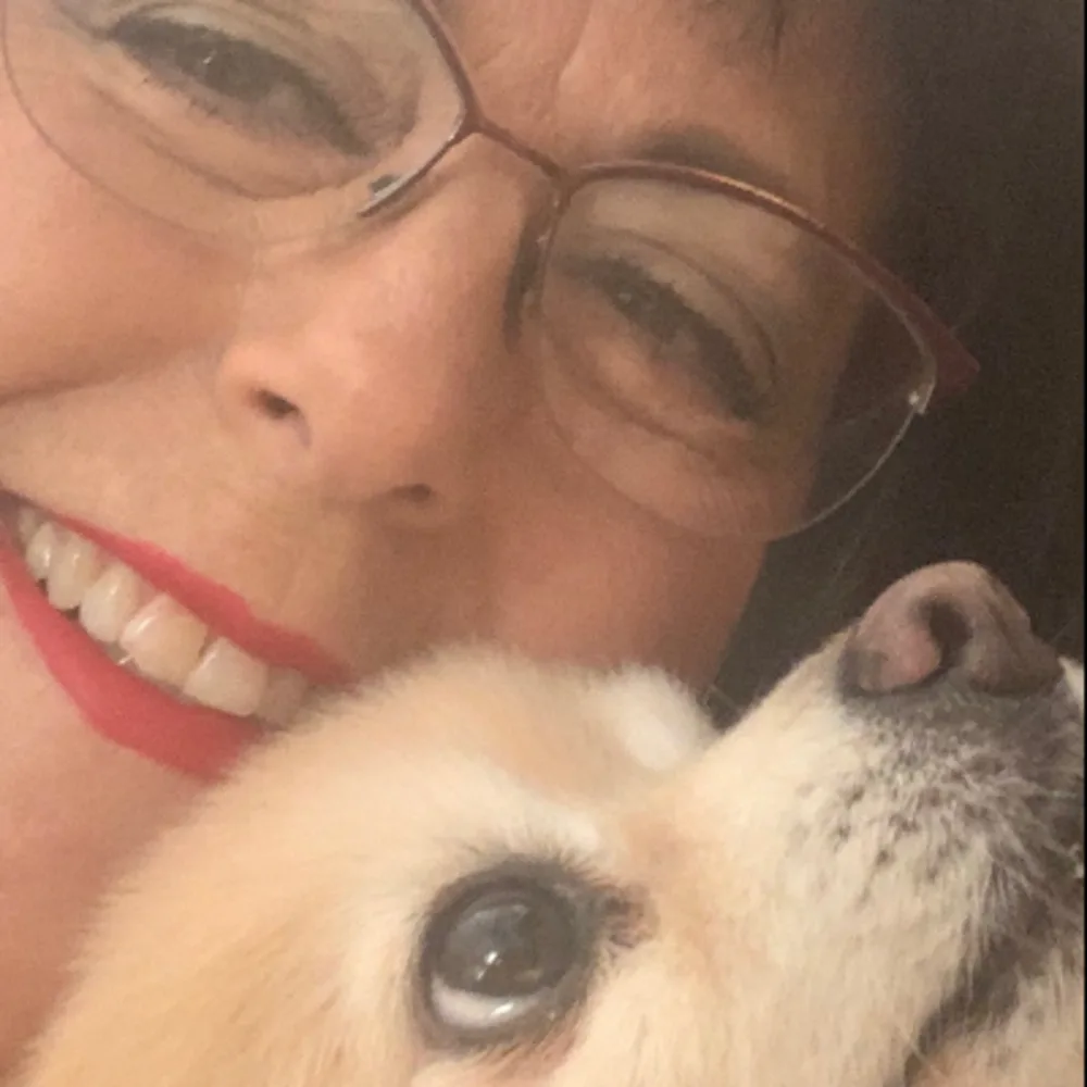 Pawsitivly Perfect Pet Care