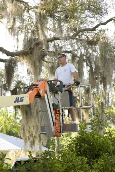 T&D Tree Service, LLC.