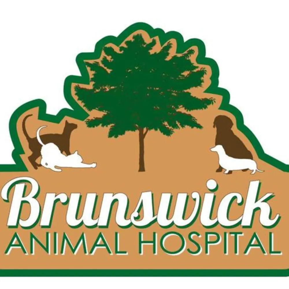Brunswick Animal Hospital