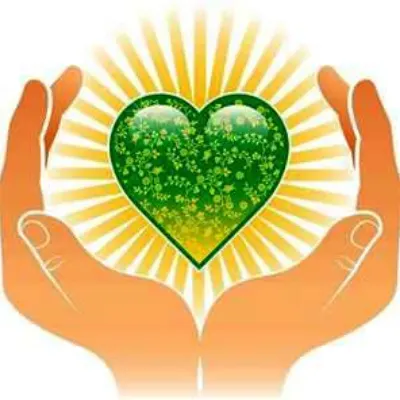 Divine Touch Massage Therapy, LLC