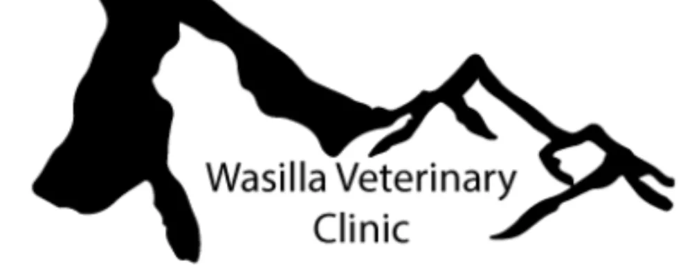 Wasilla Veterinary Clinic