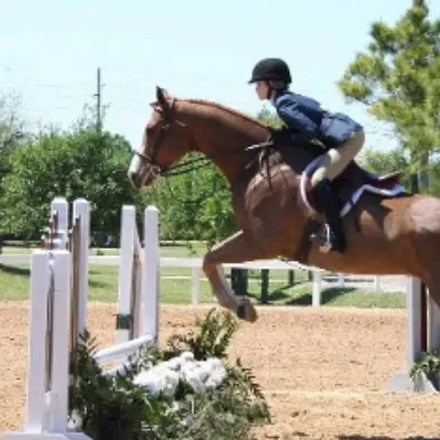 Needville Horseback Riding