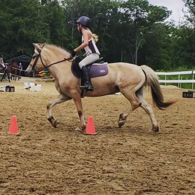 Hawk Stone Stables