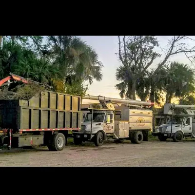De La Sierra Tree Service LLC