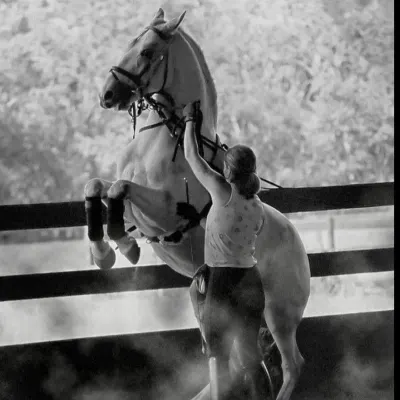 Horsemanship And Horse Training