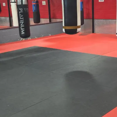 Jiu-Jitsu Inc. 