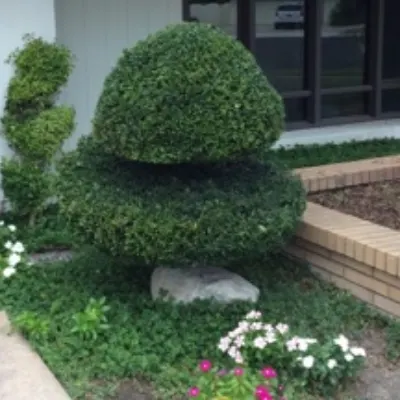 BE Real Landscaping