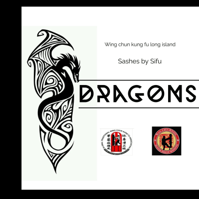 Dragons Of Wing Chun Kung Fu Long Island