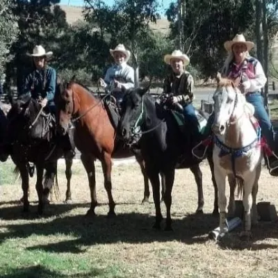 3D Horsemanship 4 Partnership