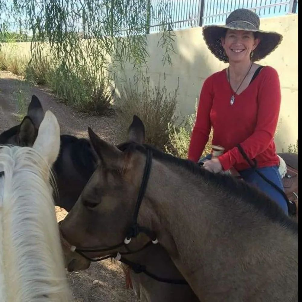 Alicia's Horse Help