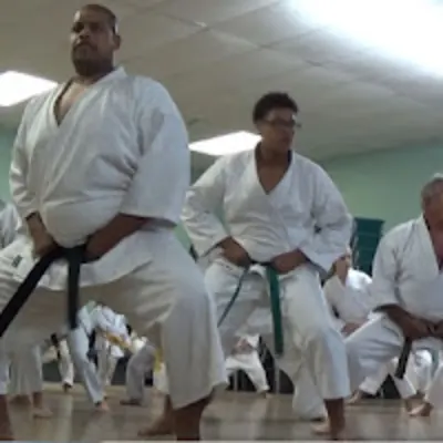 Okinawa Karate Gōjū Style